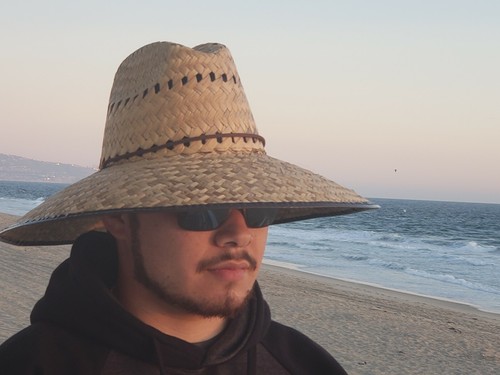 Palm straw sun - palm, wide